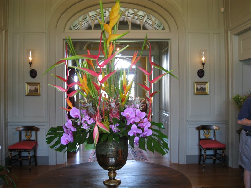 hanging-heliconia-phalenopsis