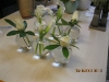 carol-suttleworth-003