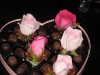 chocolatae-candies
