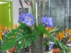flower-arrangements-067
