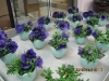 flower-arrangements-071