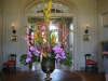 hanging-heliconia-phalenopsis