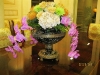 marco-orchid-dining-rrom