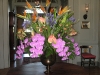 mixed-tropicals