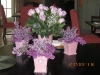 photo-10