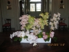 photo-6