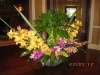 photo-7