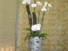 photo-8