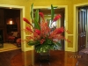 red-ginger-with-james-storie-2