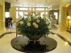 roses-2