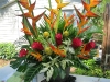 tropical-arrangement