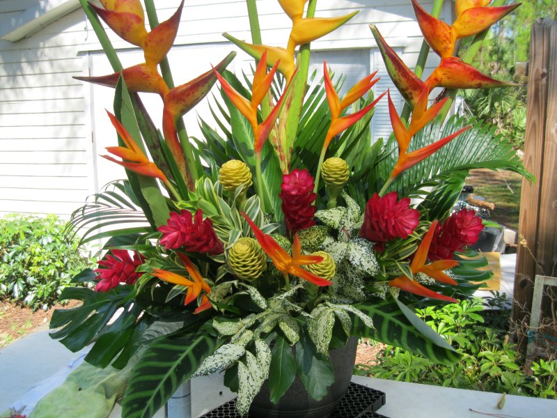 tropical-arrangement