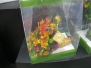 International Floriculture Expo Miami