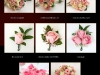 Pink Wedding