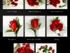 White & Red Wedding